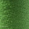Variation picture for 555 Grass