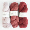 bc garn northern lights roses laines aquareve