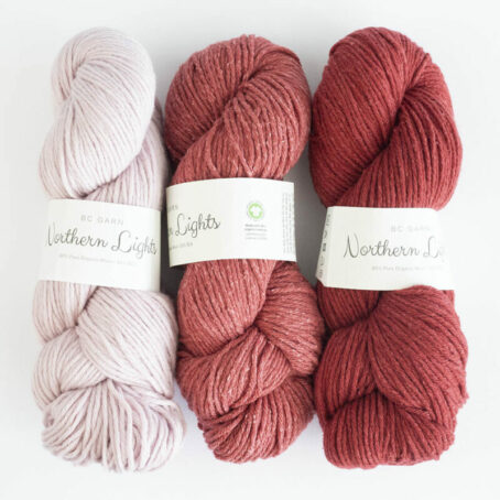 bc garn northern lights roses laines aquareve
