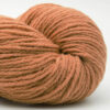 northernlight-8