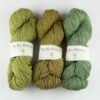 big bio balance bc garn tons de vert laines aquareve