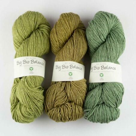 big bio balance bc garn tons de vert laines aquareve